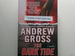 Dark Tide, The (Doubleday Large Print Home Library)