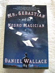 MR. SEBASTIAN AND THE NEGRO MAGICIAN: A novel.