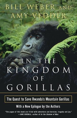In the Kingdom of Gorillas