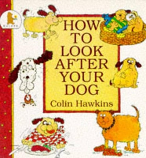 How to Look After Your Dog