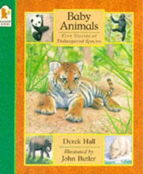 Baby Animals