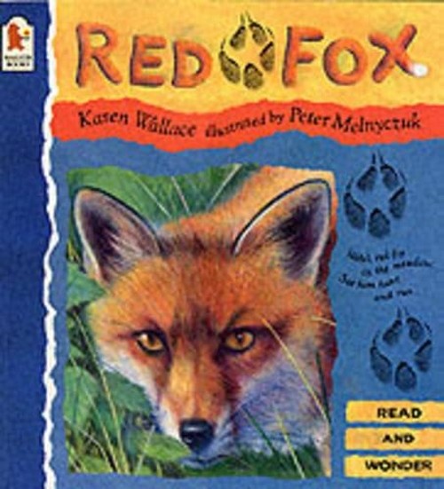 Red Fox