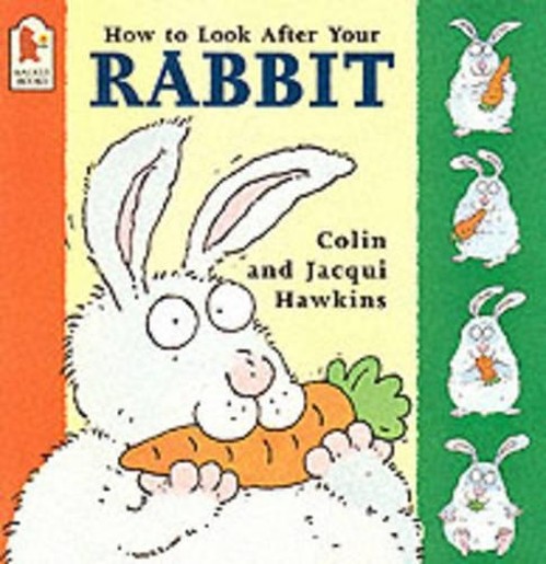 How To Look After Your Rabbit