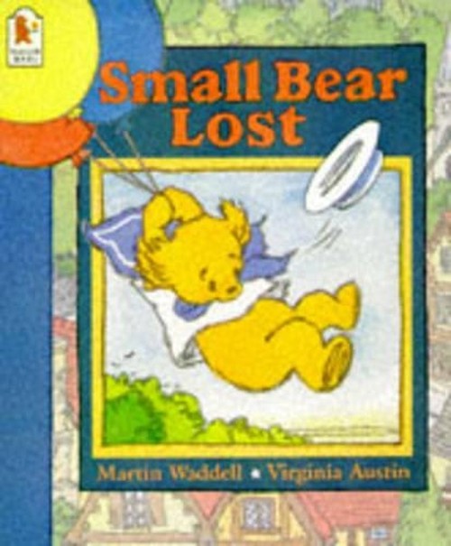 Small Bear Lost