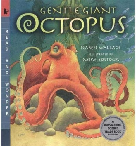 Gentle Giant Octopus