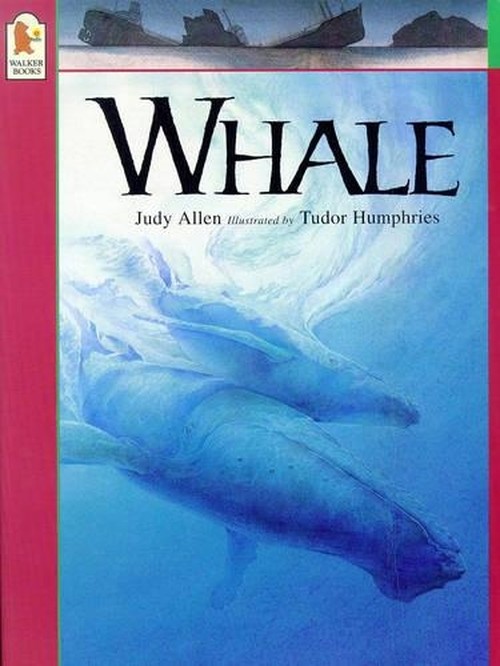 Whale
