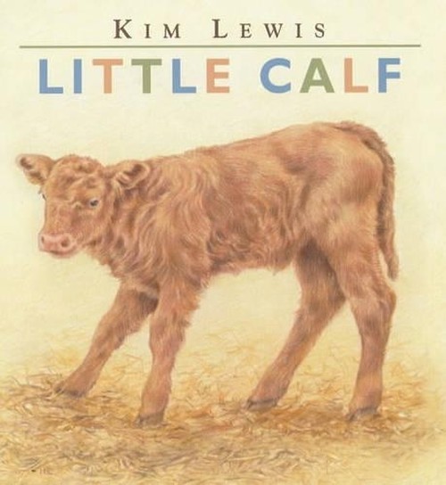 Little Calf Board Book