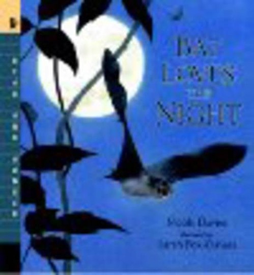 Bat Loves The Night