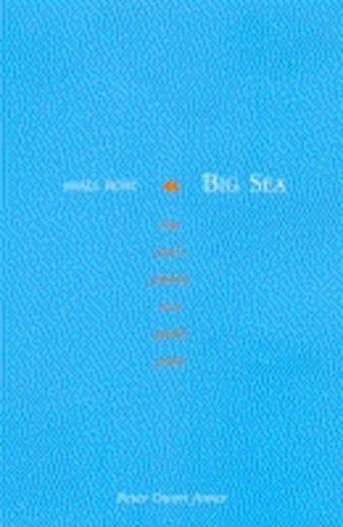 Small Boat, Big Sea