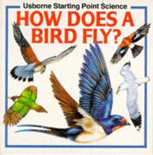 How Does a Bird Fly?