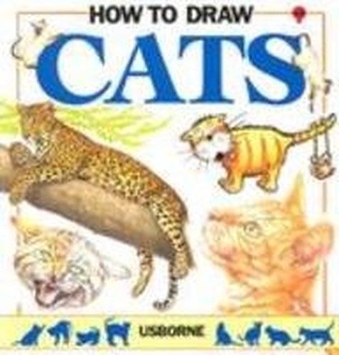 How to Draw Cats