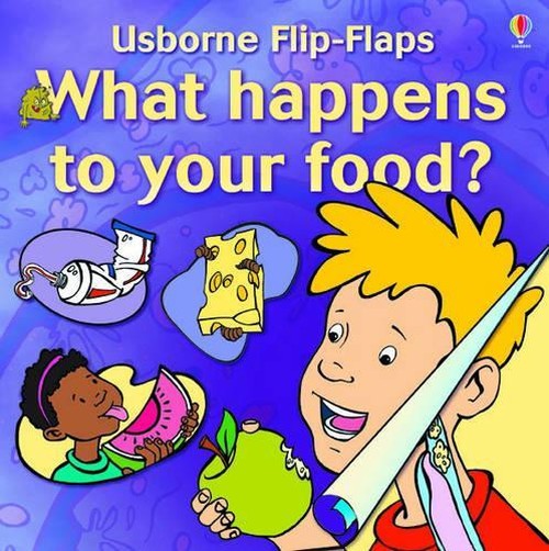 What Happens to Your Food?