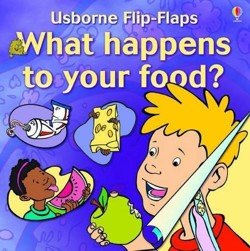 What Happens to Your Food?