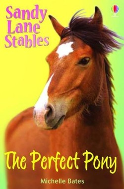 The Perfect Pony