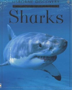 Sharks