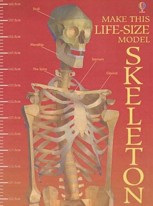 Make This Cut-out Skeleton
