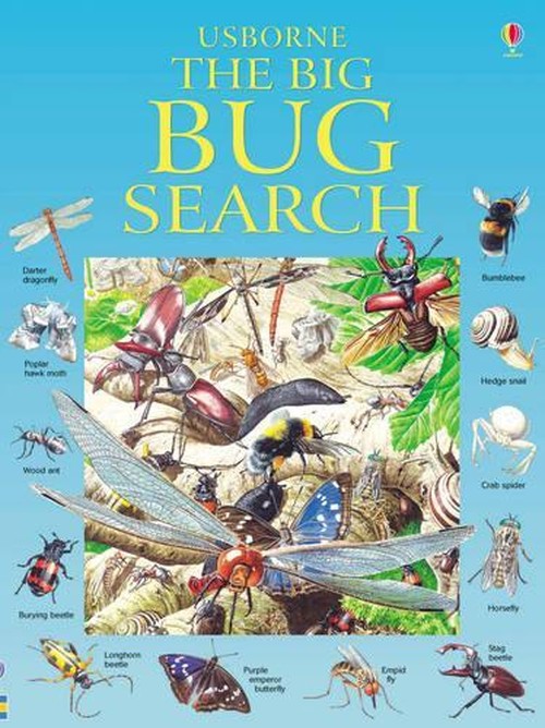 The Big Bug Search