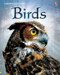 Discovery Birds