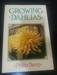 GROWING DAHLIAS