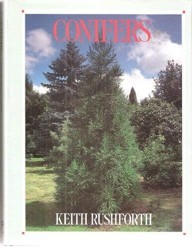 CONIFERS