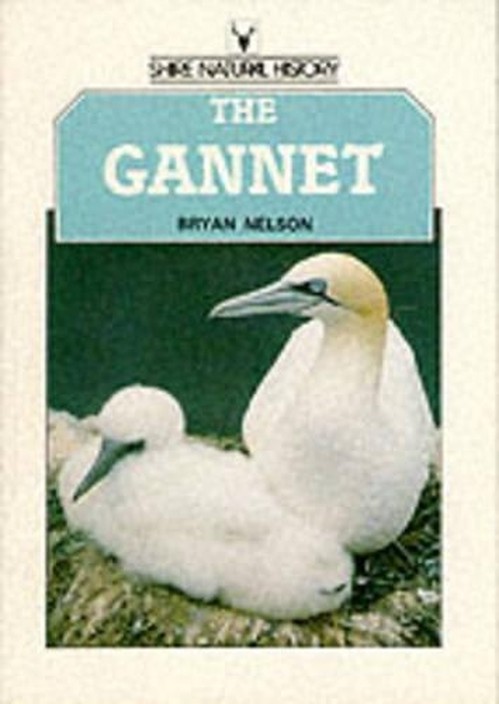 The Gannet
