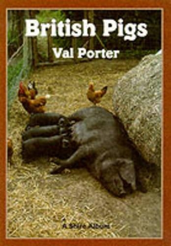 British Pigs
