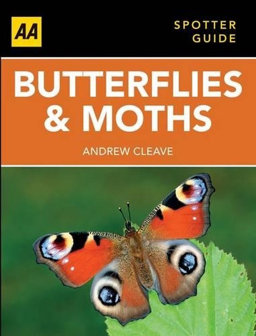 Butterflies and Moths
