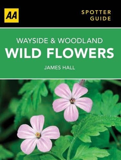 Wayside & Woodland Wild Flowers