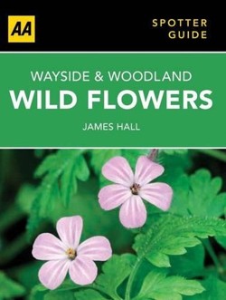 Wayside & Woodland Wild Flowers