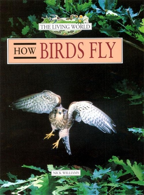 How Birds Fly