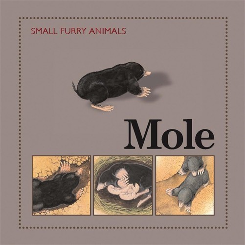 Mole