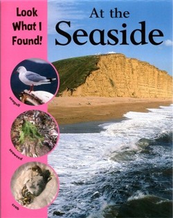 At The Seaside