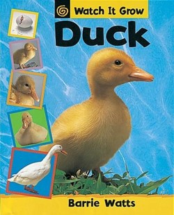 Watch It Grow: Duck