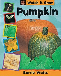 Pumpkin