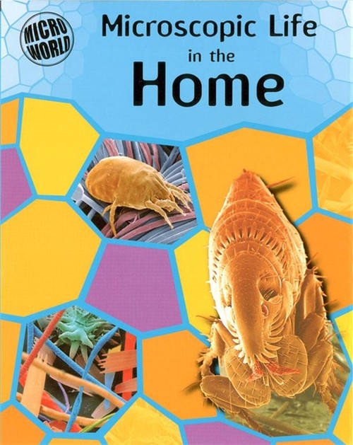 Microscopic Life In Your Home