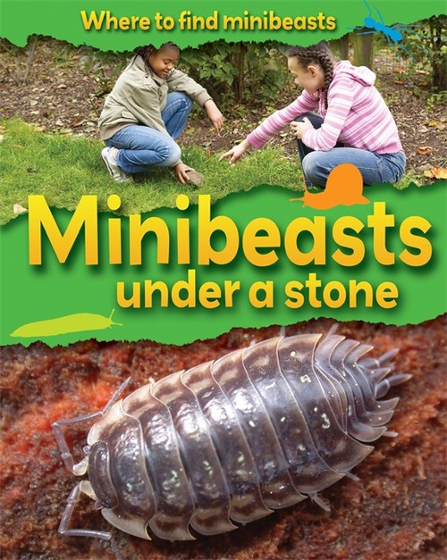 Minibeasts Under a Stone