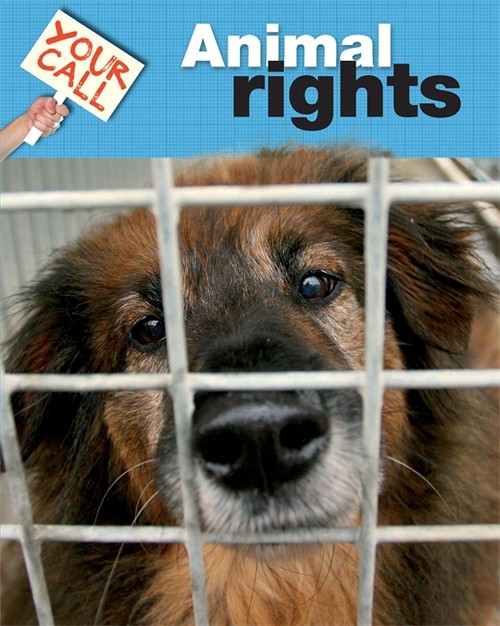 Animal Rights