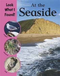 Look What I Found!: At The Seaside
