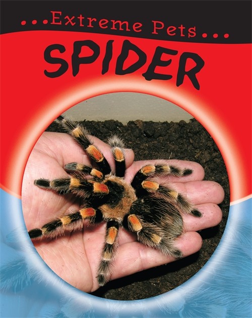 Spider