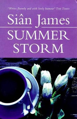 Summer Storm