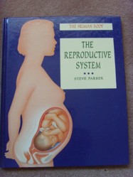 Reproductive System