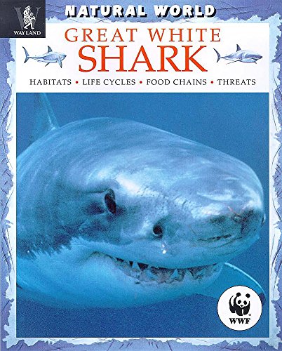 Great White Shark