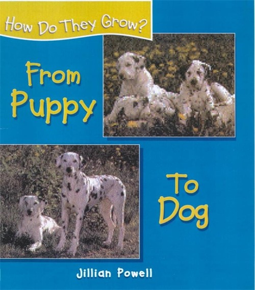 From Puppy to Dog