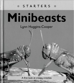 Read Write Inc. Comprehension: Module 24: Children's Book: Mini Beasts