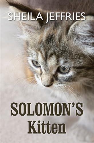 Solomon's Kitten