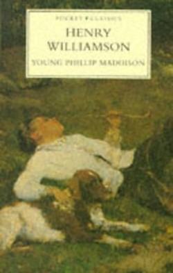 Young Phillip Maddison