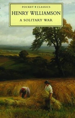 A Solitary War