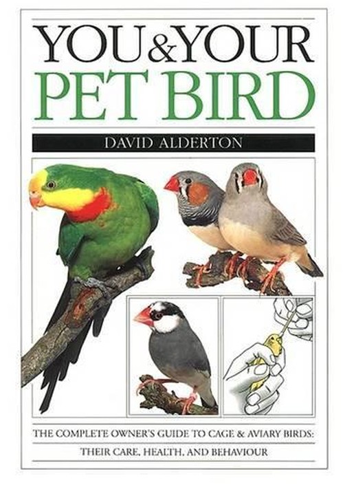 You & Your Pet Bird