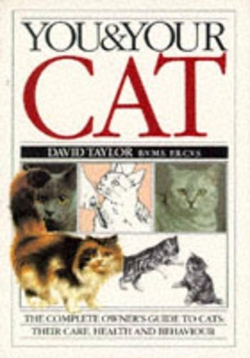 You & Your Cat (Revised)