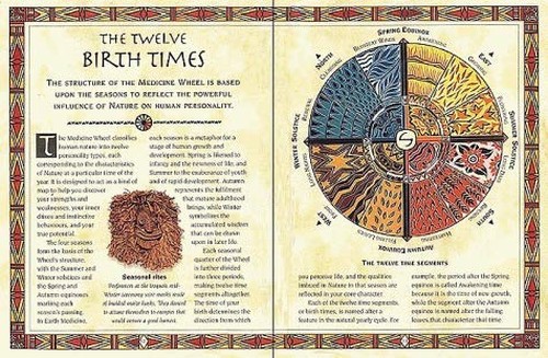 Little Earth Medicine: 1 Falcon